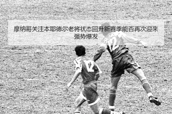 img_1782835916459_3662_0_946.jpg | kaiyun